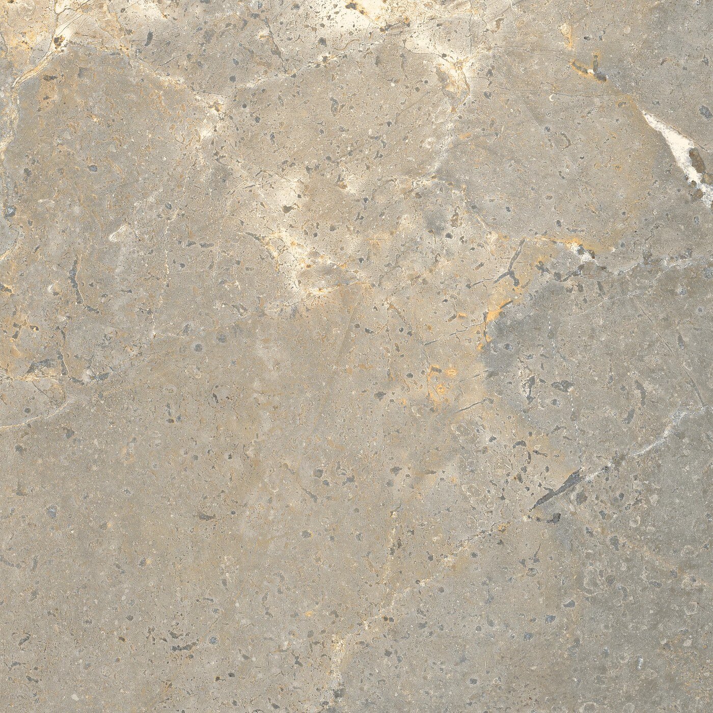 Arizona Tile Anthea Earth 24" × 48" Porcelain Tile (SKU AT-ANTHEA2448-EART)