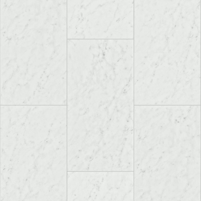-01217 Shaw Floorte