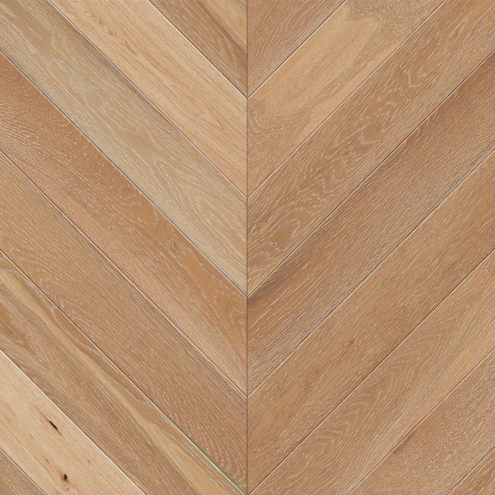 505, BELLA, EUROPEAN OAK, VANDYCK