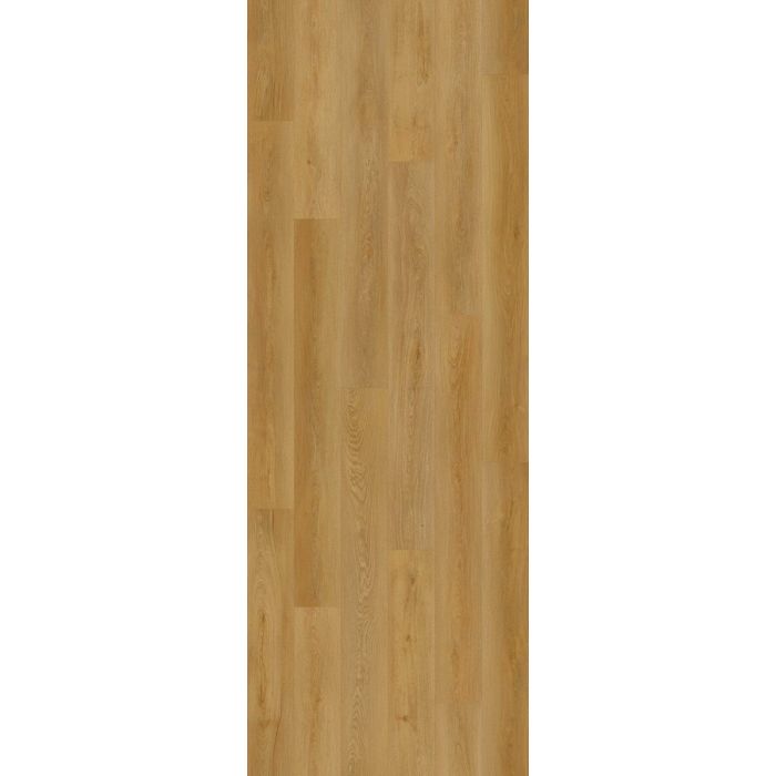 Biscotti Oak — BB-XV — The Bambino Collection — Lions Floor