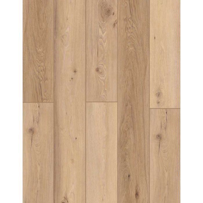 Vienna Toast — BB-XVII — The Bambino Collection — Lions Floor