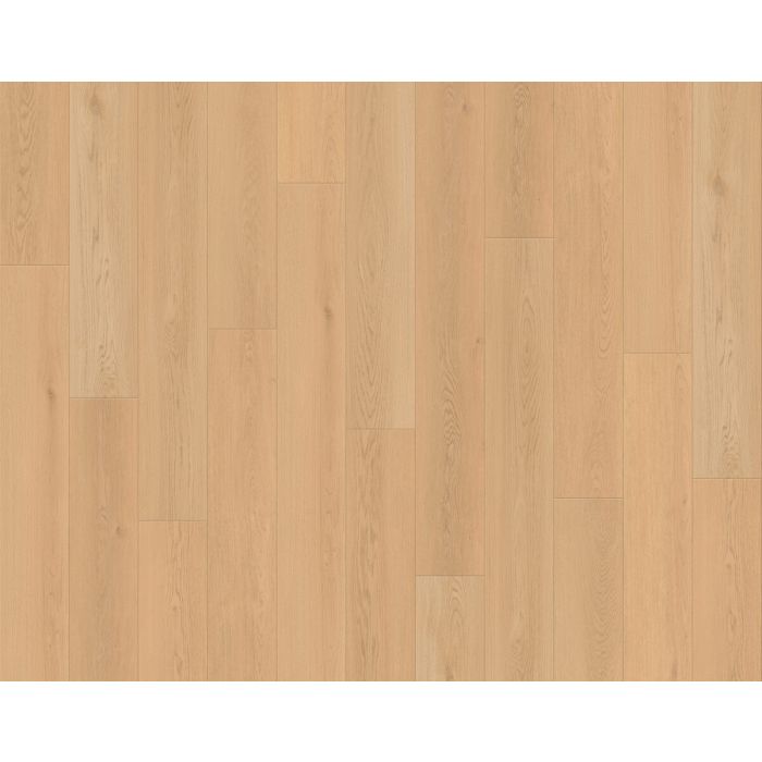 Seashell Radiance — LI-SS03 — The Seaside Summit Collection — Lions Floor