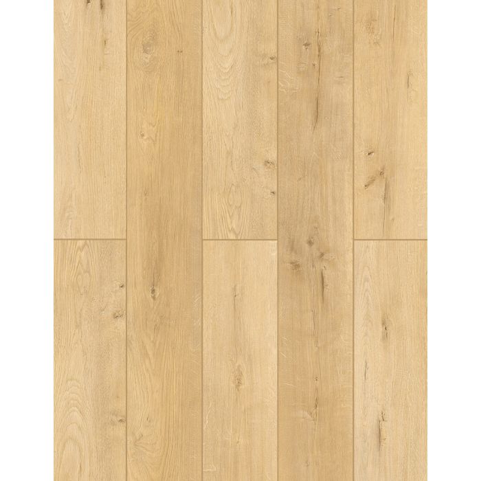 More Mesa — LI-TS104V2 — The Lone Star Collection — Lions Floor