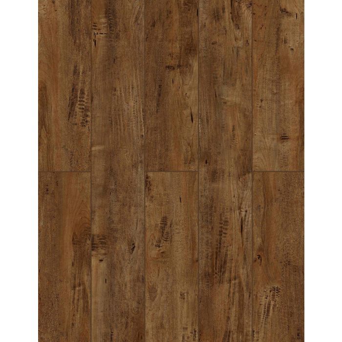 Chocolat — LI-TS105V2 — The Lone Star Collection — Lions Floor