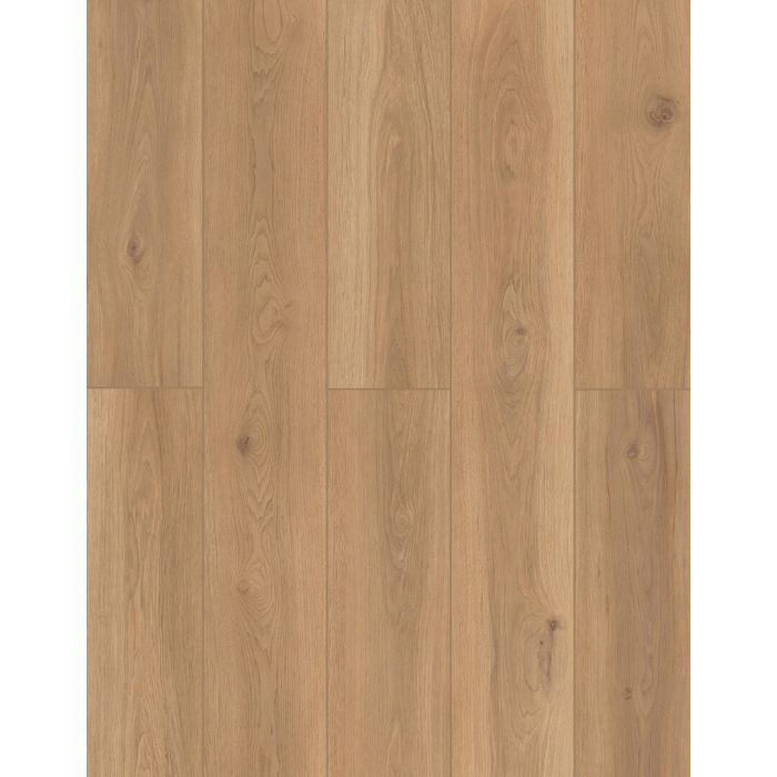 Backyard Garnish — LI-TS202 — The Lone Star Spirit Xl Collection — Lions Floor