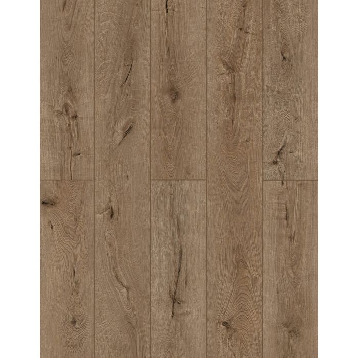Forgotten Bark — LI-TS205 — The Lone Star Spirit Xl Collection — Lions Floor