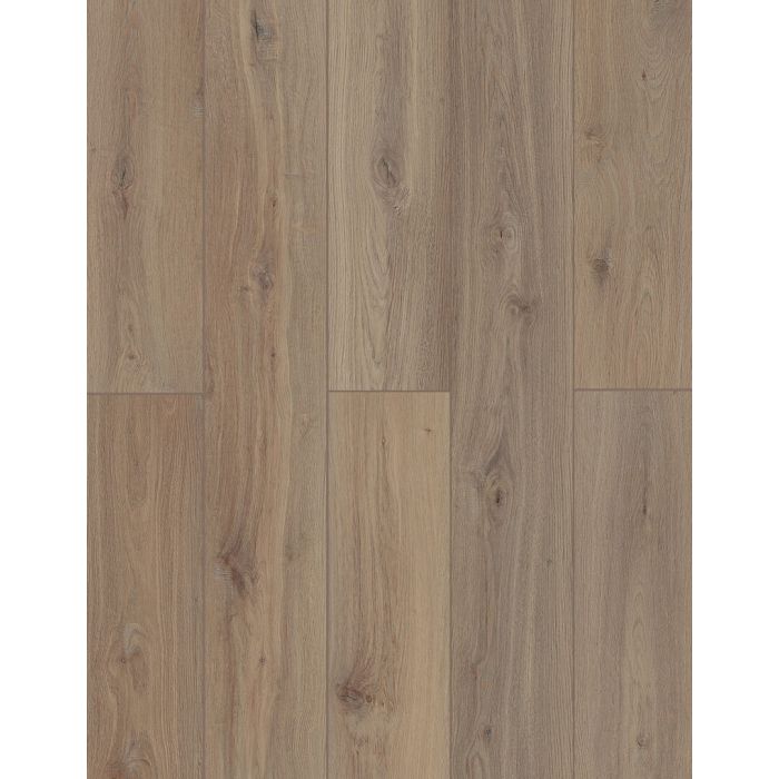 Shangri La — LI-TS206 — The Lone Star Spirit Xl Collection — Lions Floor