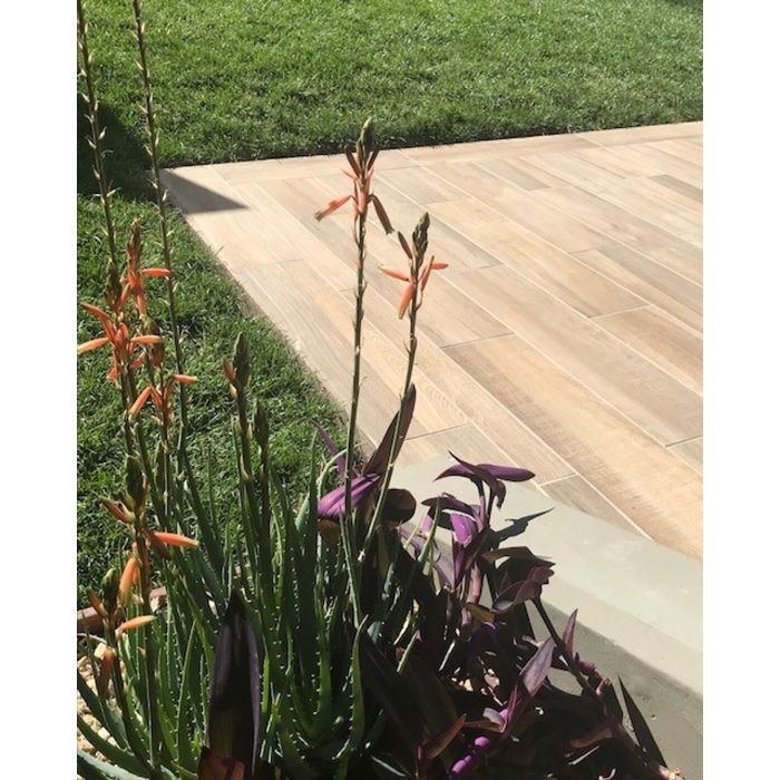 Arizona Tile Aequa Tur Porcelain Tile — Field Tile & Mosaics, All Sizes