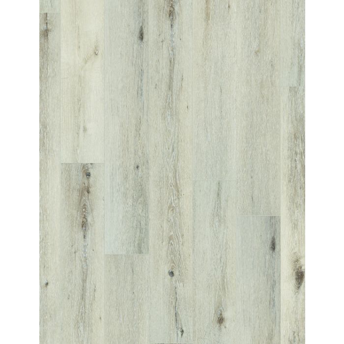 ANGELIC OAK, 03103, CORETEC PLUS HD 7X60, VV806