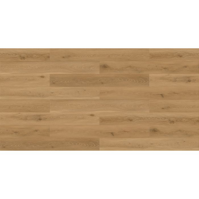 Megaclic Armano MCST-2307 — close-up plank, overhead view