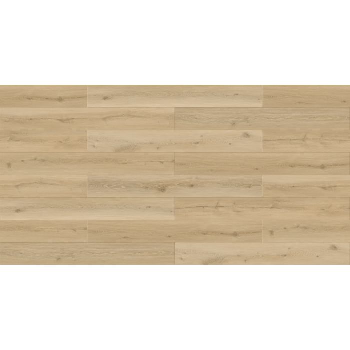 Megaclic Aurelia MCST-2310 — close-up plank, overhead view