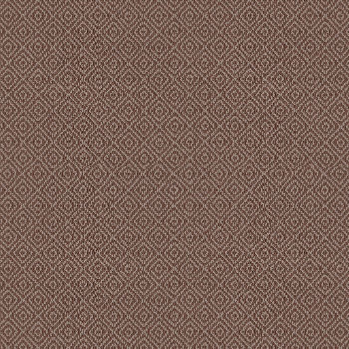 Anderson Tuftex Stroll Burnt Russet Carpet - ZZ050-00877