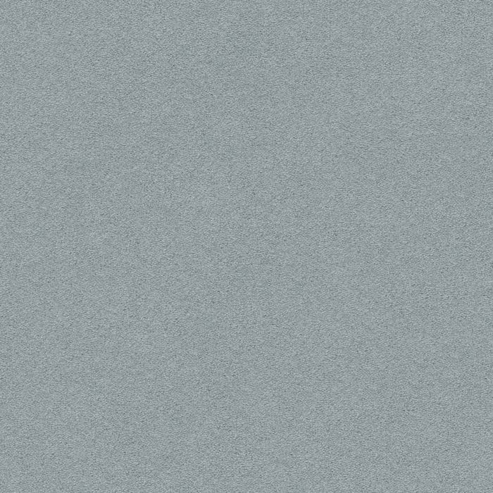 Anderson Tuftex Perfect Choice Stream Carpet - ZZ064-00454