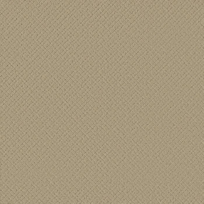 Anderson Tuftex Mosaic Bungalow Carpet - ZZ076-00103