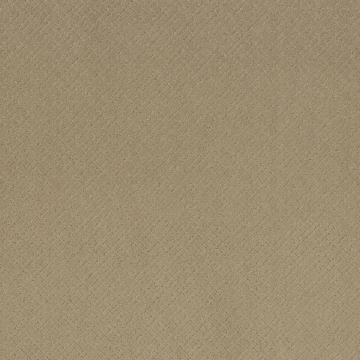 Anderson Tuftex Mosaic Coronado Carpet - ZZ076-00115