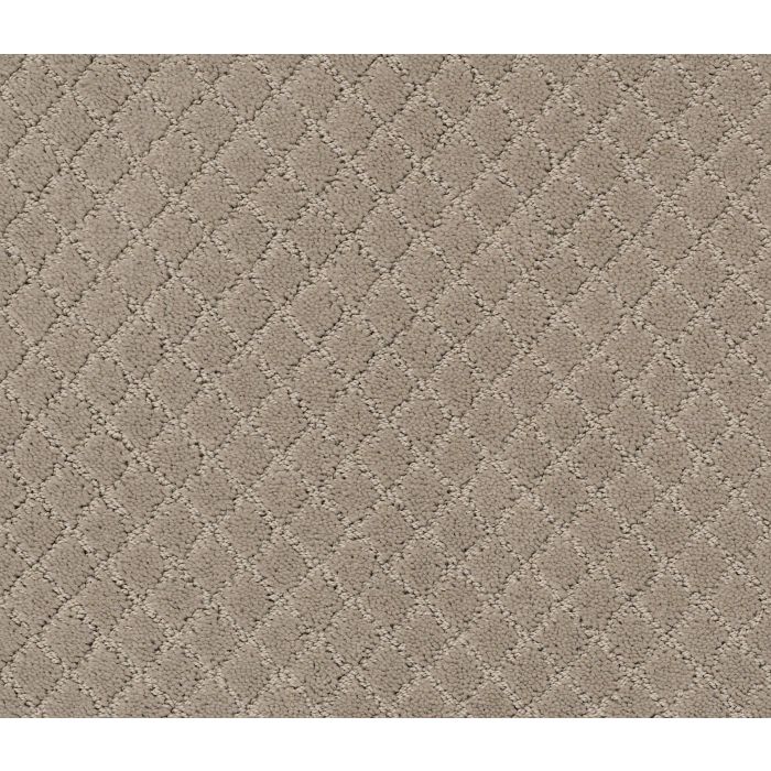 Anderson Tuftex Pawnache Mocha Cream Carpet - ZZ080-00711