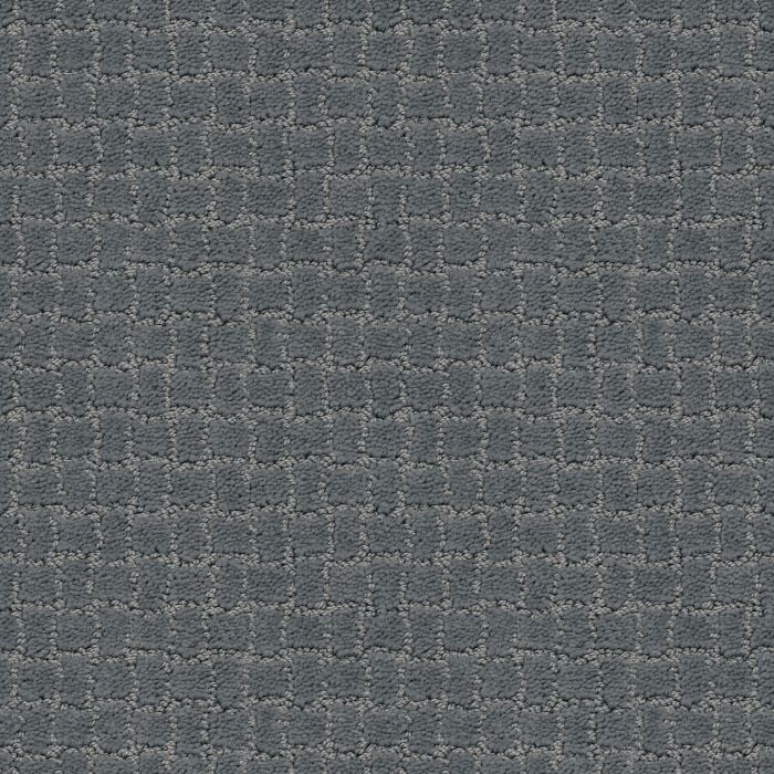 Anderson Tuftex Pawstruck Steel Wool Carpet - ZZ081-00545