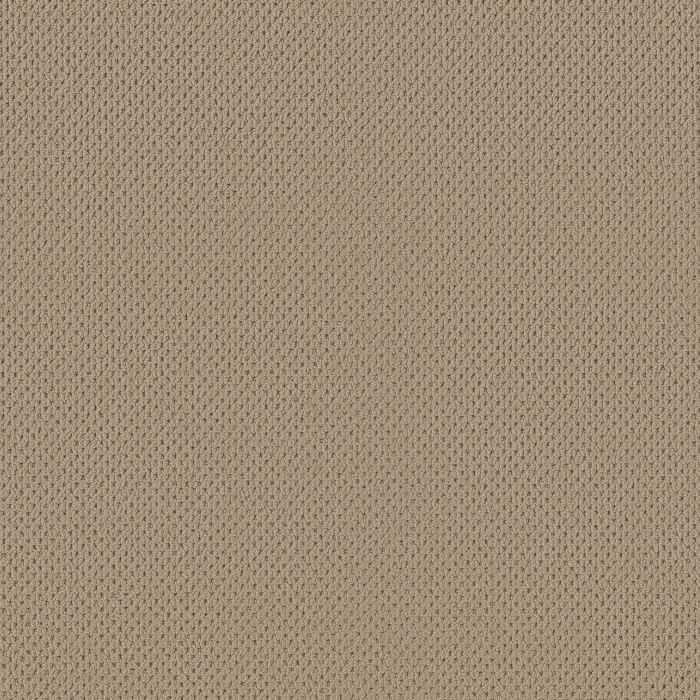 Anderson Tuftex Mera Golden Carpet - ZZ086-00127