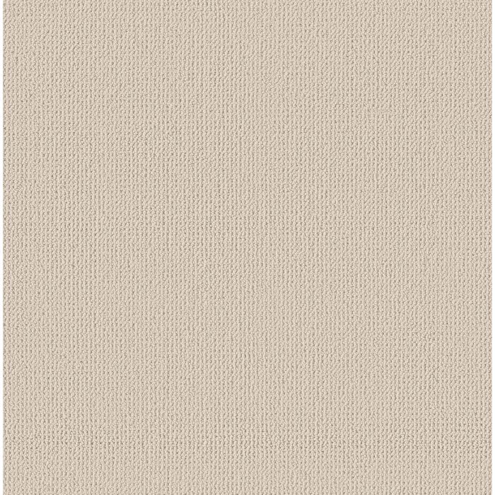 Anderson Tuftex Purrfection Olympic Carpet - ZZ097-00111