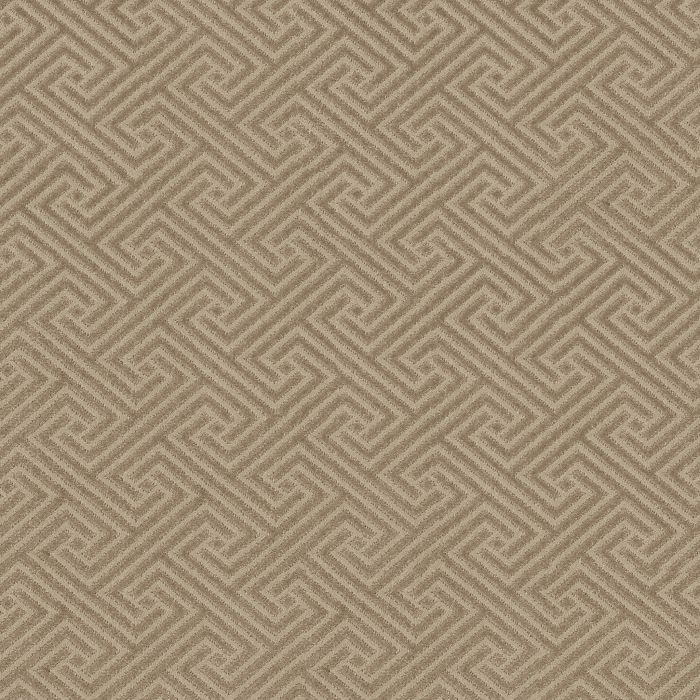 Anderson Tuftex Artifact Birchwood Carpet - ZZ226-00712