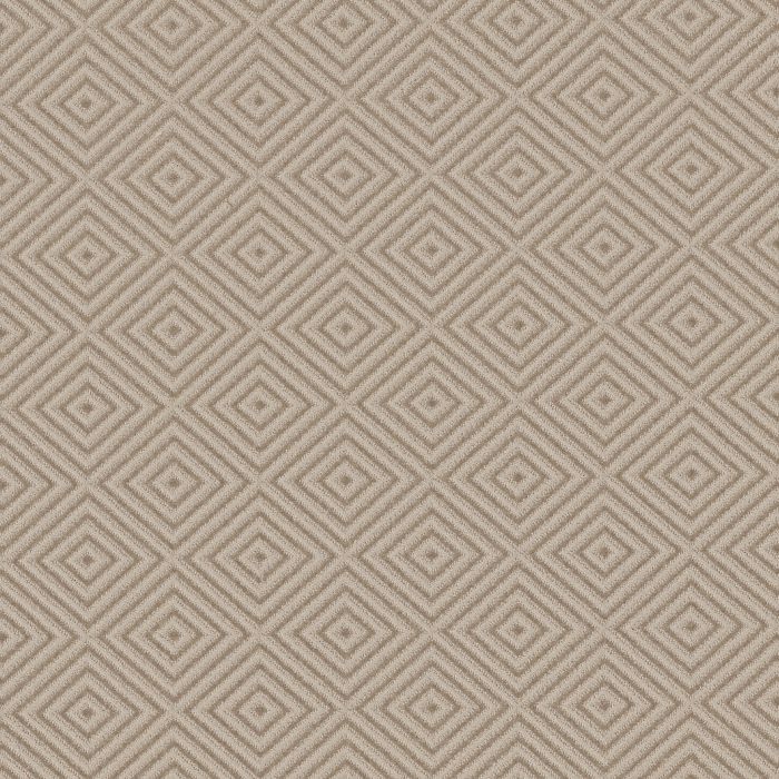 Anderson Tuftex Aristocrat Linen Carpet - ZZ227-00172