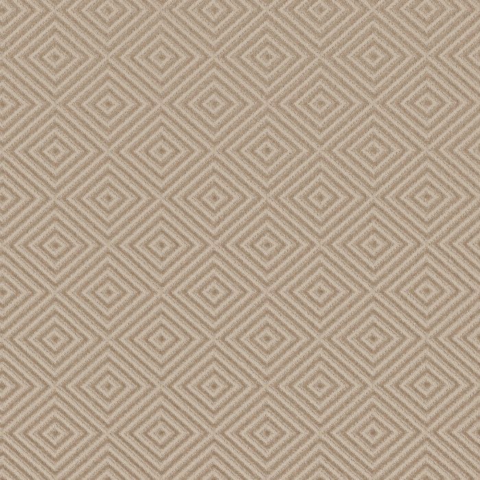 Anderson Tuftex Aristocrat Cashmere Carpet - ZZ227-00173