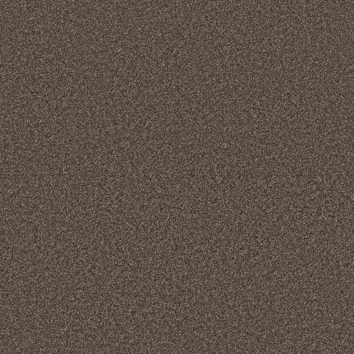 Anderson Tuftex Kaleidoscope Earthen Brick Carpet - ZZ255-00658