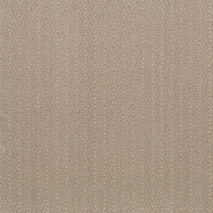 Anderson Tuftex Kit Blonde Carpet - ZZ258-00122