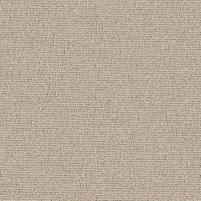 Anderson Tuftex Chit Chat Almond Latte Carpet - ZZ261-00211