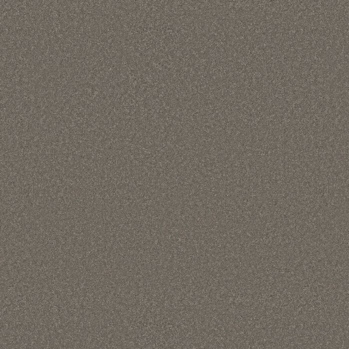 Anderson Tuftex Enduring Charm Lunar Rock Carpet - ZZ268-00555