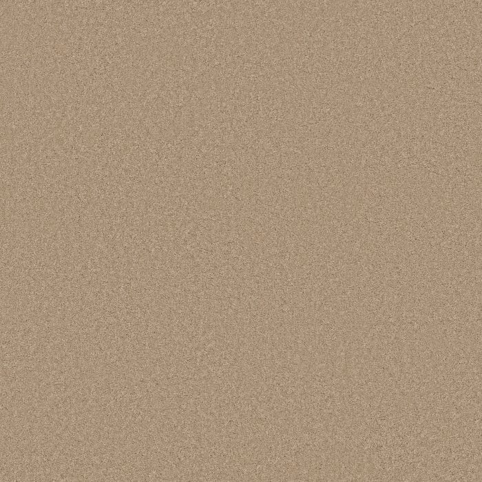 Anderson Tuftex Elegant Beauty Brulee Carpet - ZZ269-00124