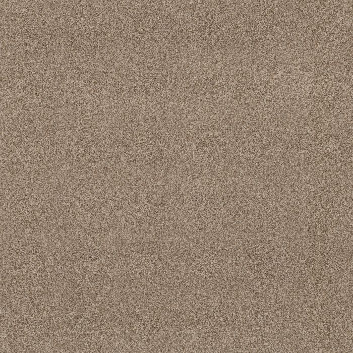 Anderson Tuftex Via Nova Nutshell Carpet - ZZ276-00764