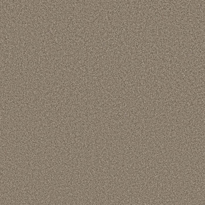 Anderson Tuftex Avalon Bay Chic Taupe Carpet - ZZ278-00753