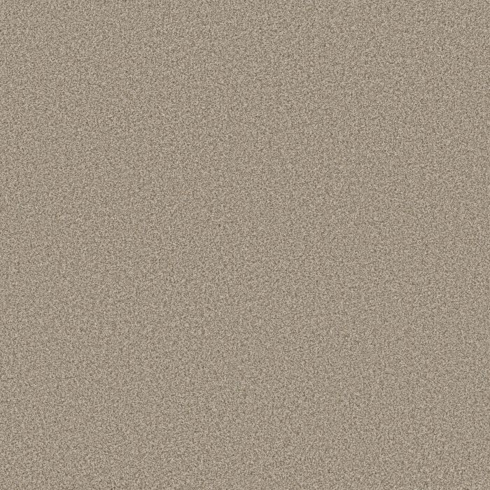 Anderson Tuftex Somerset White Mocha Carpet - ZZ279-00151