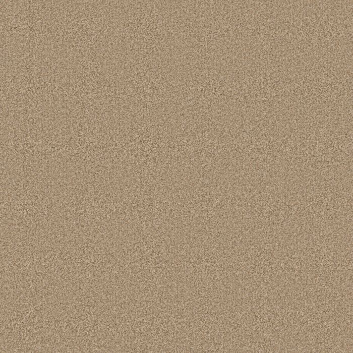 Anderson Tuftex Somerset Filtered Moon Carpet - ZZ279-00162