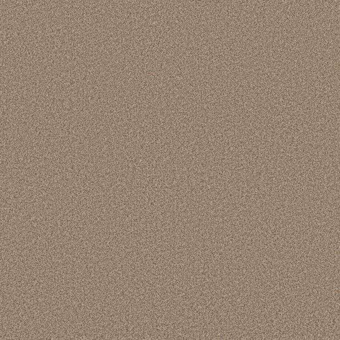 Anderson Tuftex Somerset Sugar Cookie Carpet - ZZ279-00173