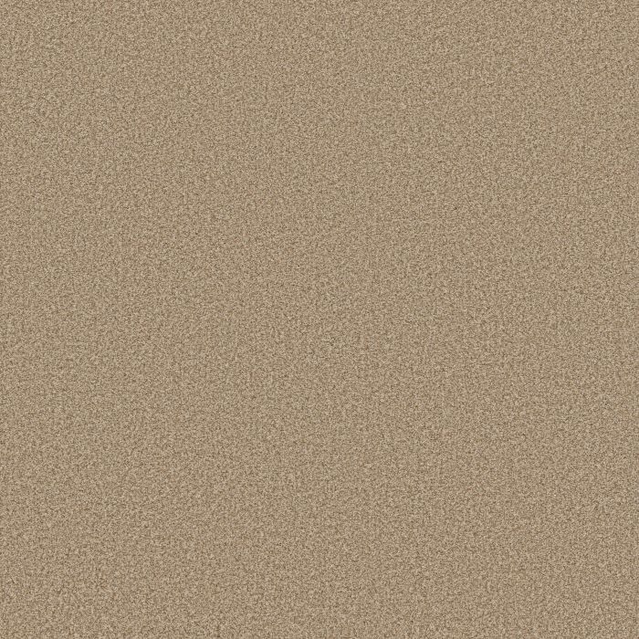 Anderson Tuftex Somerset Golden Carpet - ZZ279-00224
