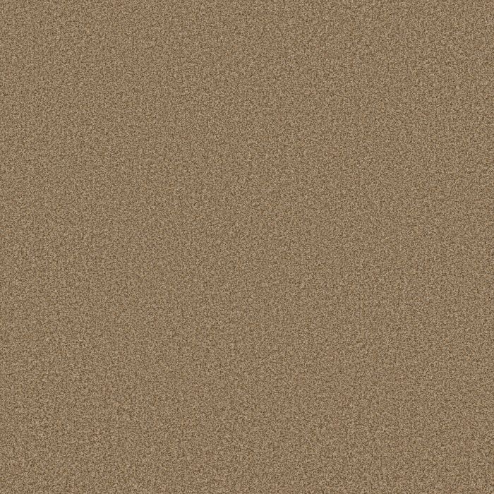 Anderson Tuftex Somerset Powdered Gold Carpet - ZZ279-00225