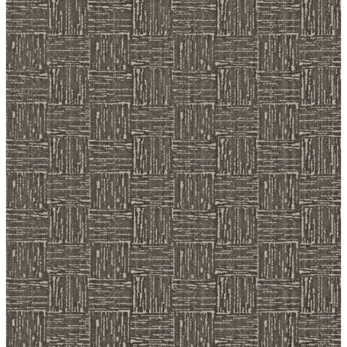 Anderson Tuftex Moderne Luxury Velvet Carpet - ZZ303-00507