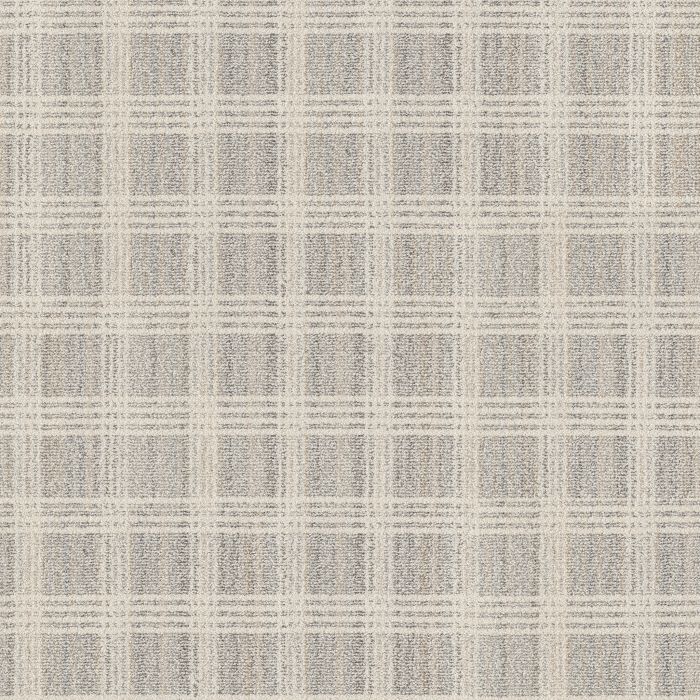 Anderson Tuftex Collab Ivory Metallic Carpet - ZZ311-00103