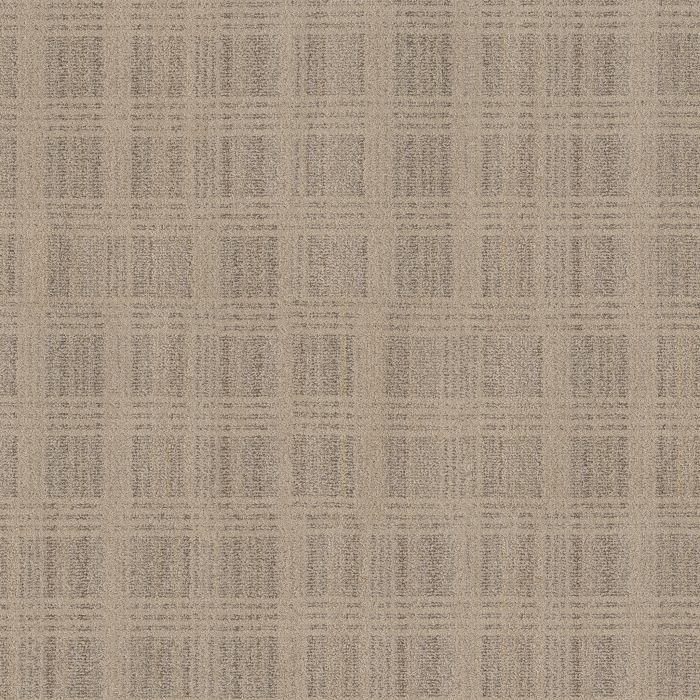 Anderson Tuftex Collab Toffee Carpet - ZZ311-00700
