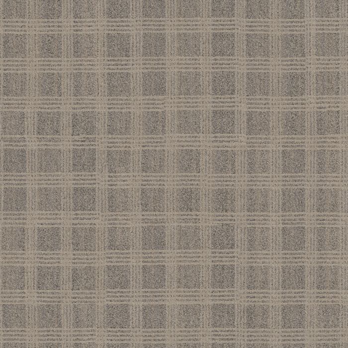 Anderson Tuftex Collab Chic Taupe Carpet - ZZ311-00701