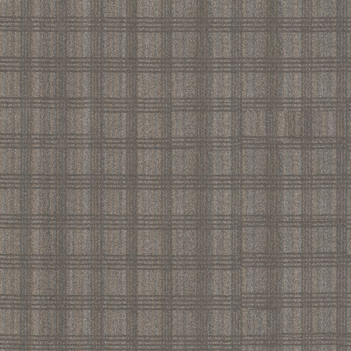Anderson Tuftex Collab Driftwood Carpet - ZZ311-00702