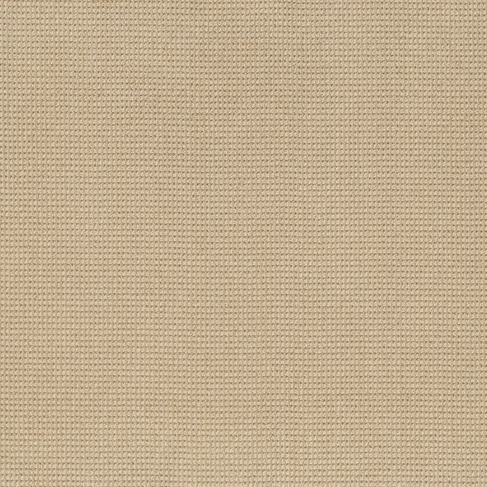 Anderson Tuftex Inspired Straw Carpet - ZZ317-00222