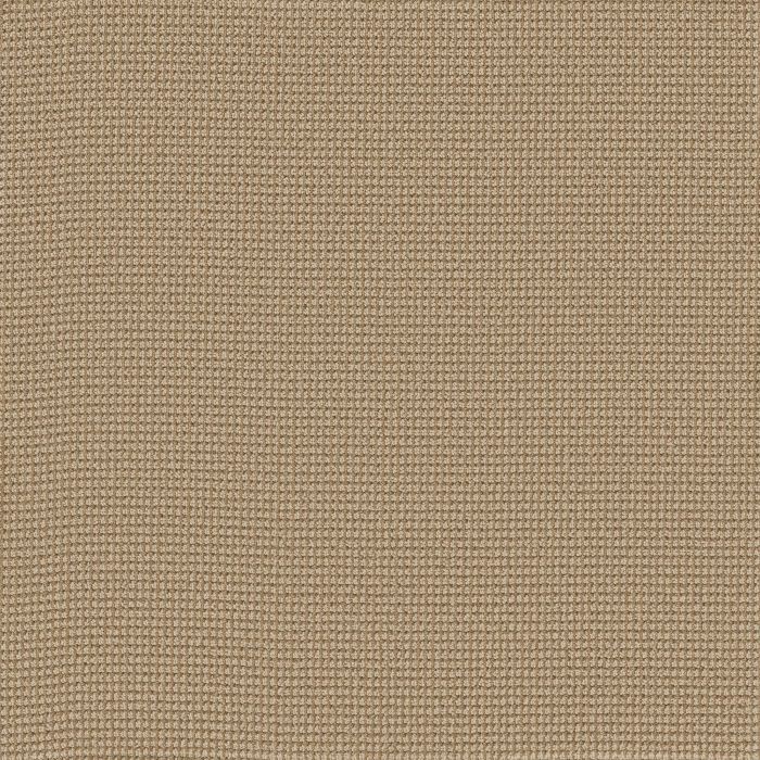 Anderson Tuftex Inspired Topaz Carpet - ZZ317-00223