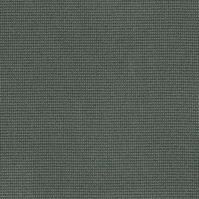 Anderson Tuftex Inspired Spruce Carpet - ZZ317-00356