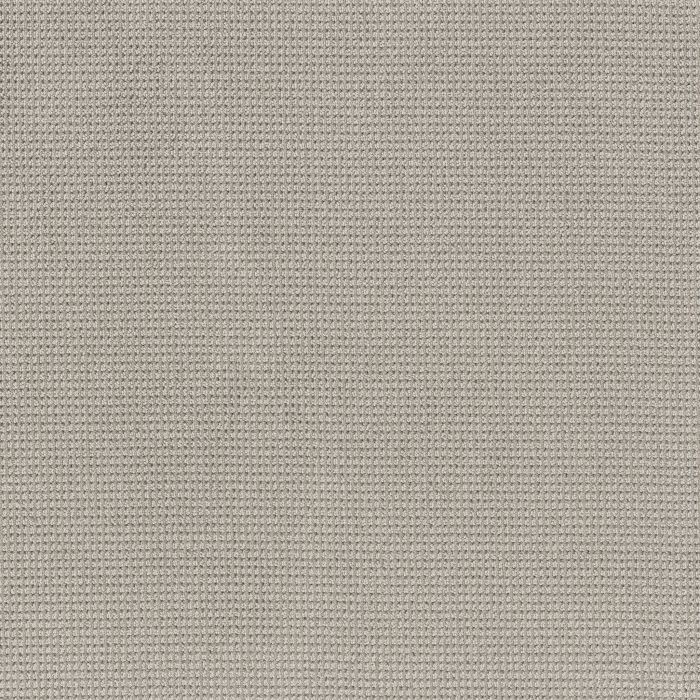 Anderson Tuftex Inspired Slate Carpet - ZZ317-00551