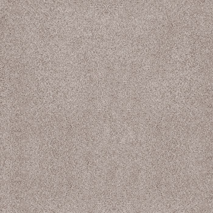 Anderson Tuftex Sumptuous II First Star Carpet - ZZ324-00151