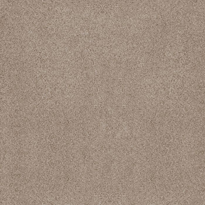 Anderson Tuftex Sumptuous II Cream Tea Carpet - ZZ324-00240