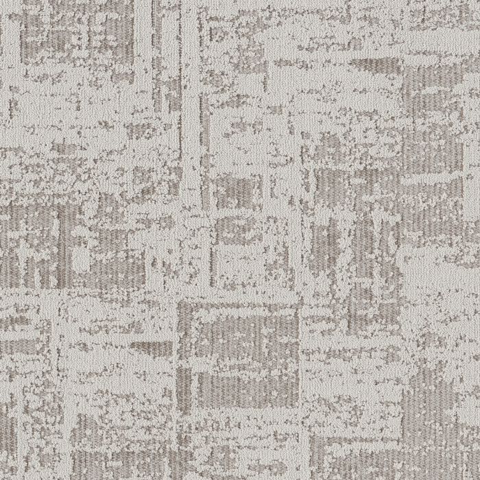Anderson Tuftex Discover Grey Fox Carpet - ZZ329-00112